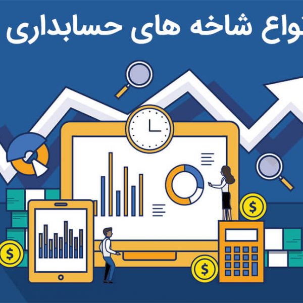 انواع حسابداری