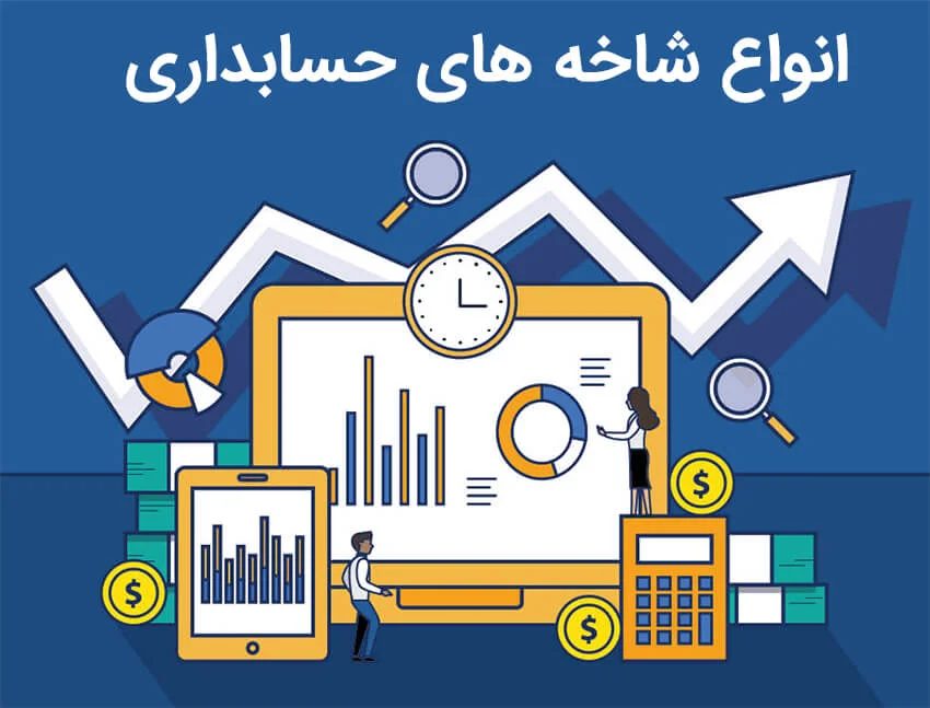 انواع حسابداری